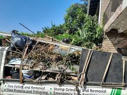 Best Basement Cleanout in Wray, CO